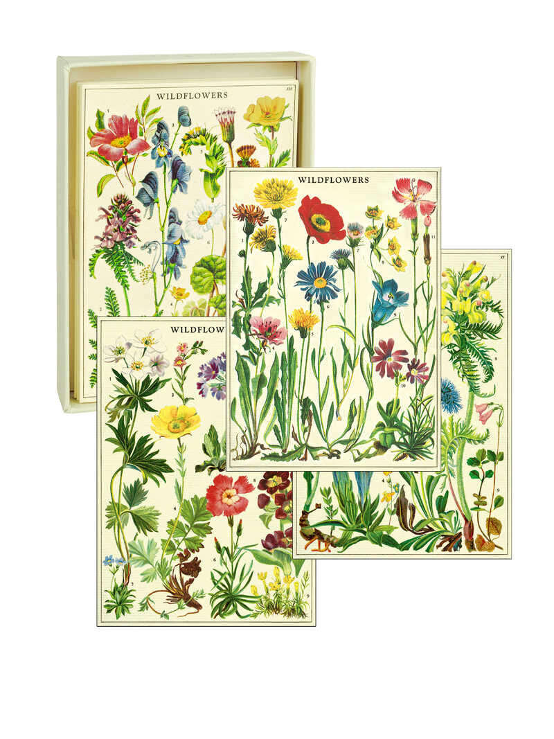 Briefkarten-Set Wildflowers